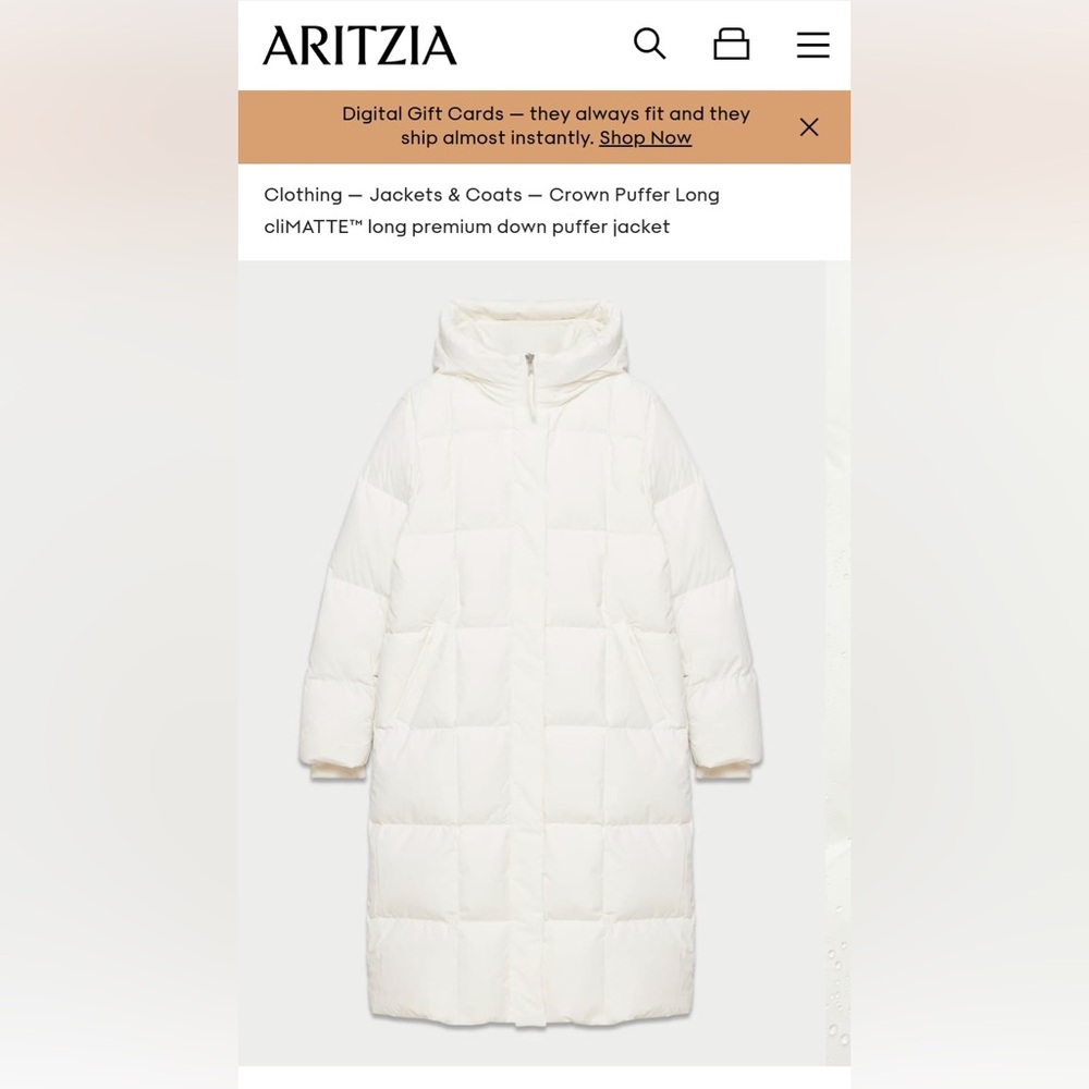 Aritzia Full Length Crown Puffer Like New